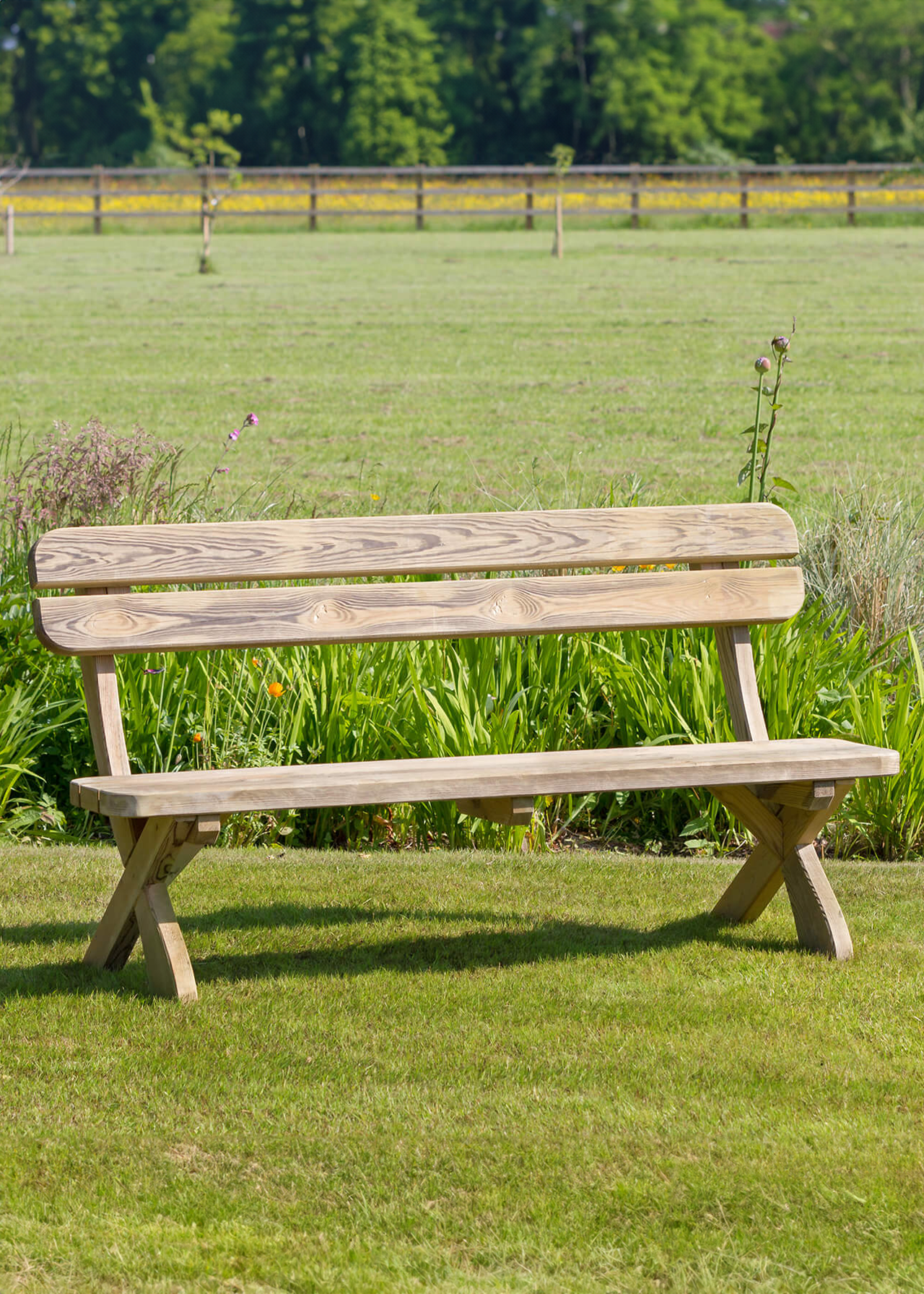 Harriet Bench