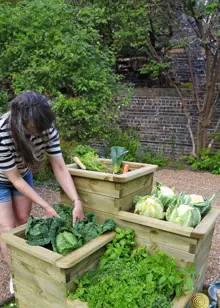 4 Tier Raised Bed