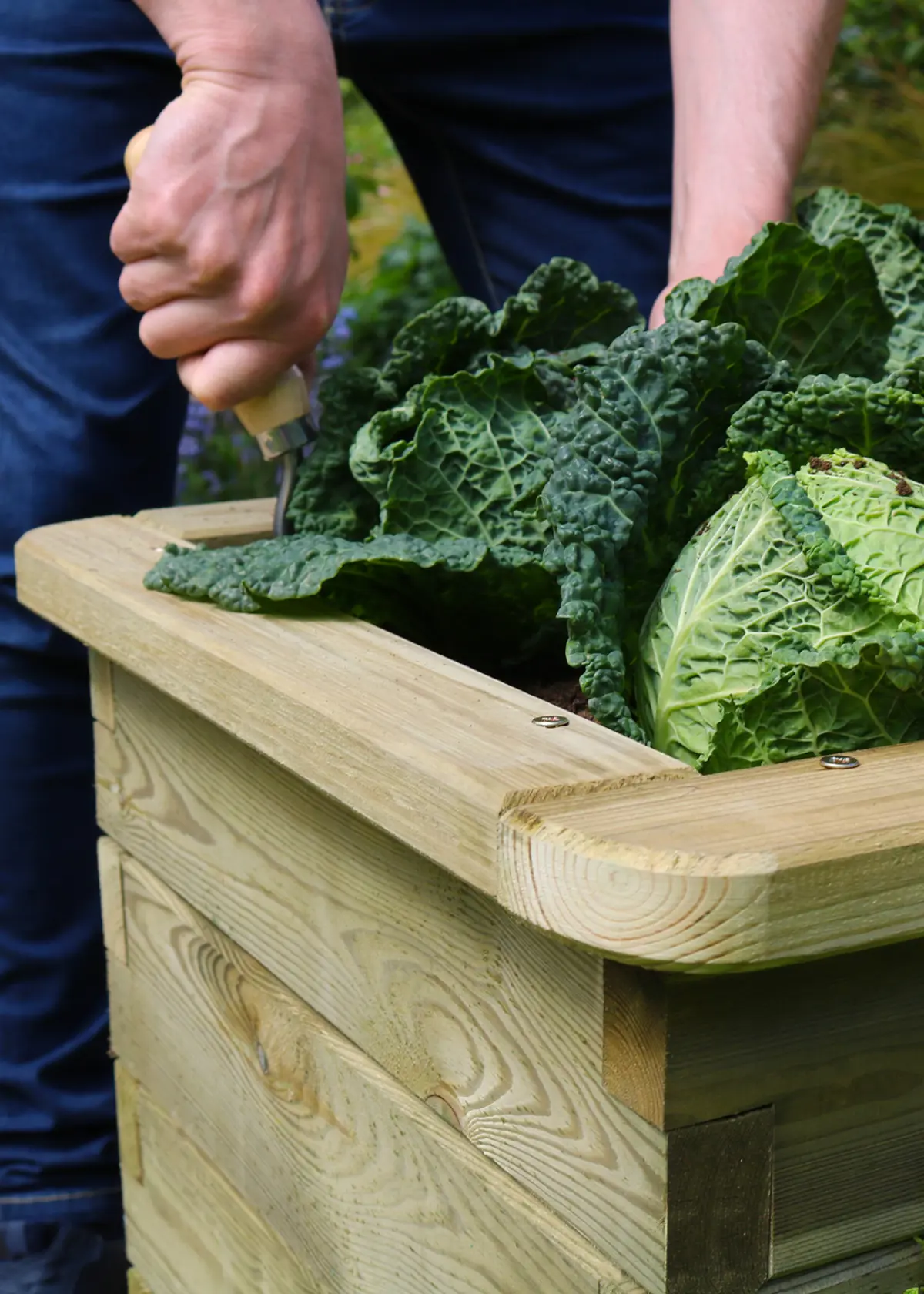 A photo of 4 Tier Raised Bed