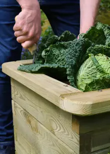 4 Tier Raised Bed