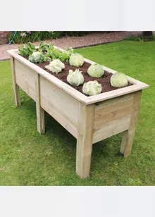 Deep Root Planter 1.8M