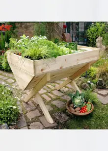 Veg Bed 1M
