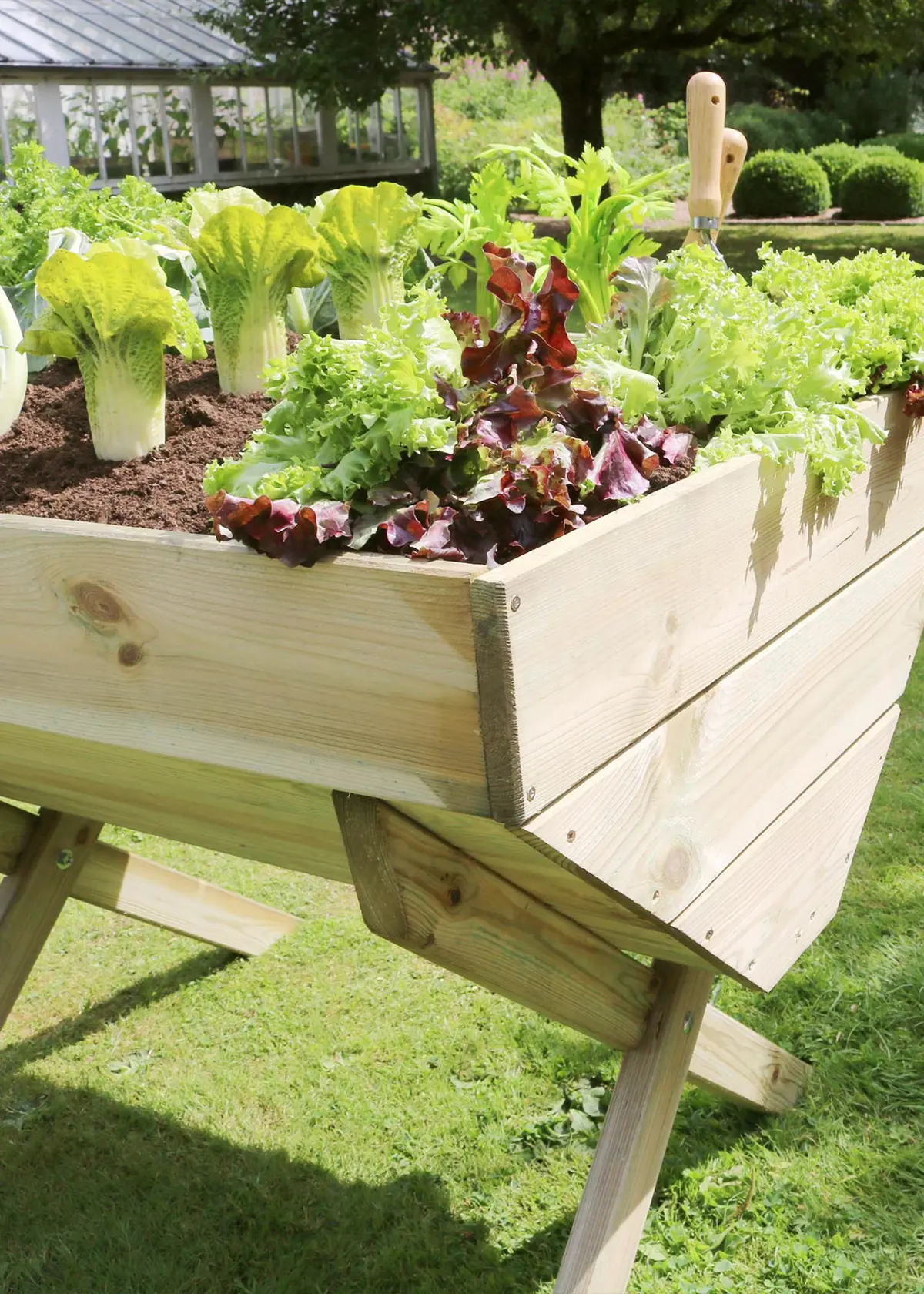 A photo of Veg Bed 1M