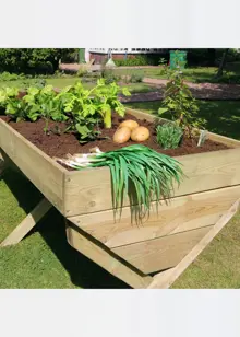 Veg Bed 2M