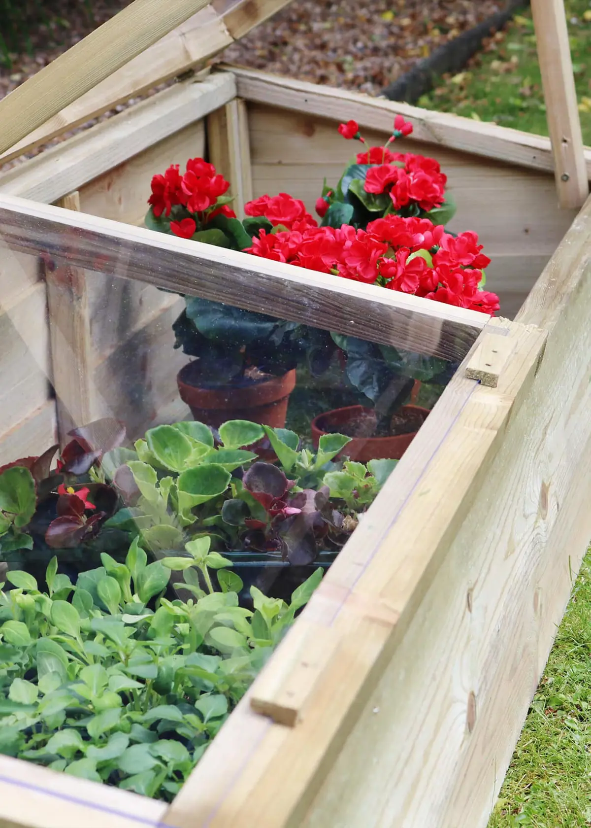 A photo of Large Cold Frame