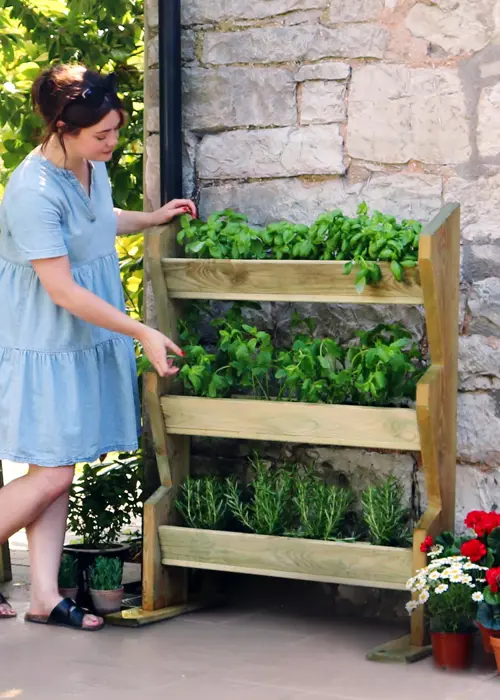 A photo of Vertical Herb Stand