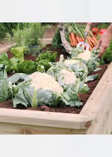 Sleeper Raised Bed 1.8 x 0.90 x 0.30m