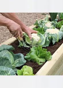 Sleeper Raised Bed 1.8 x 0.45 x 0.45m