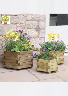 Marford Hexagonal Planter Set of 3