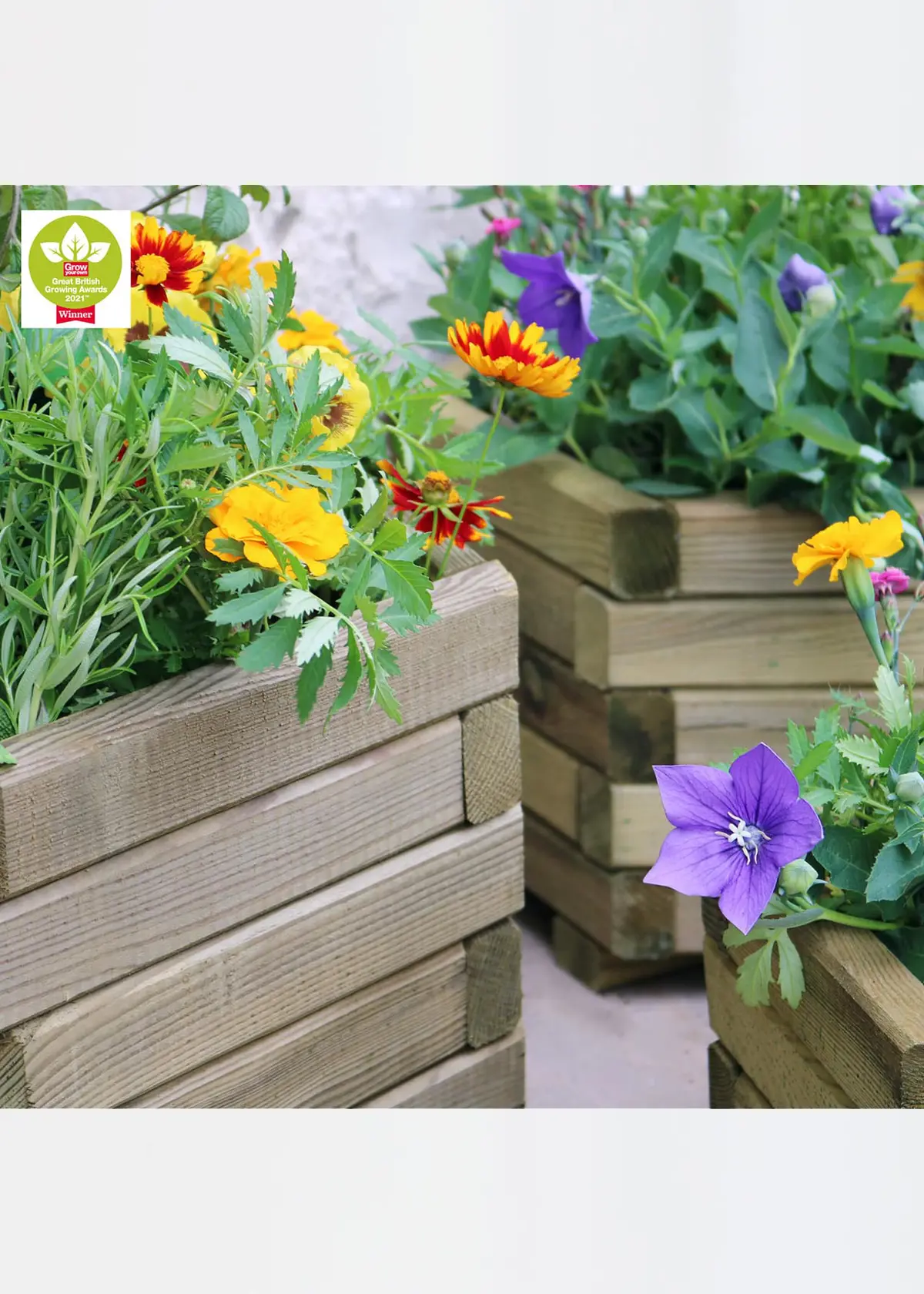 A photo of Marford Hexagonal Planter Set of 3