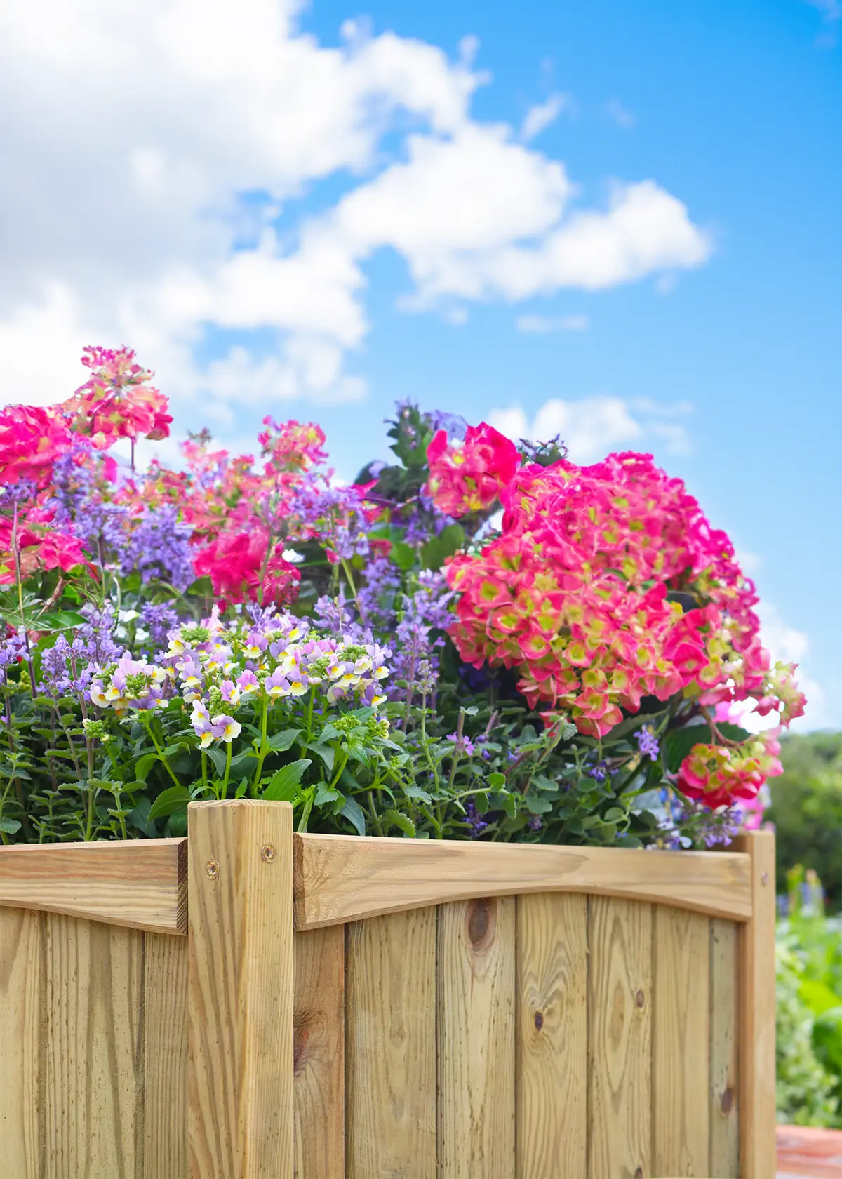 A photo of Chelsea Square Planter