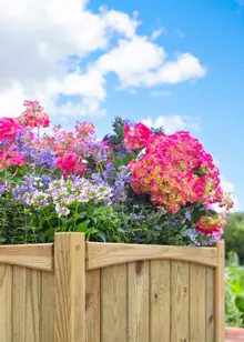 Chelsea Square Planter