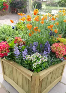 Chelsea Square Planter