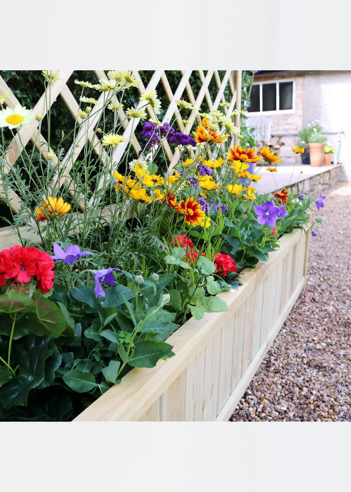 A photo of York Planter