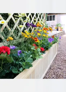 York Planter