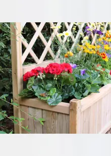 York Planter