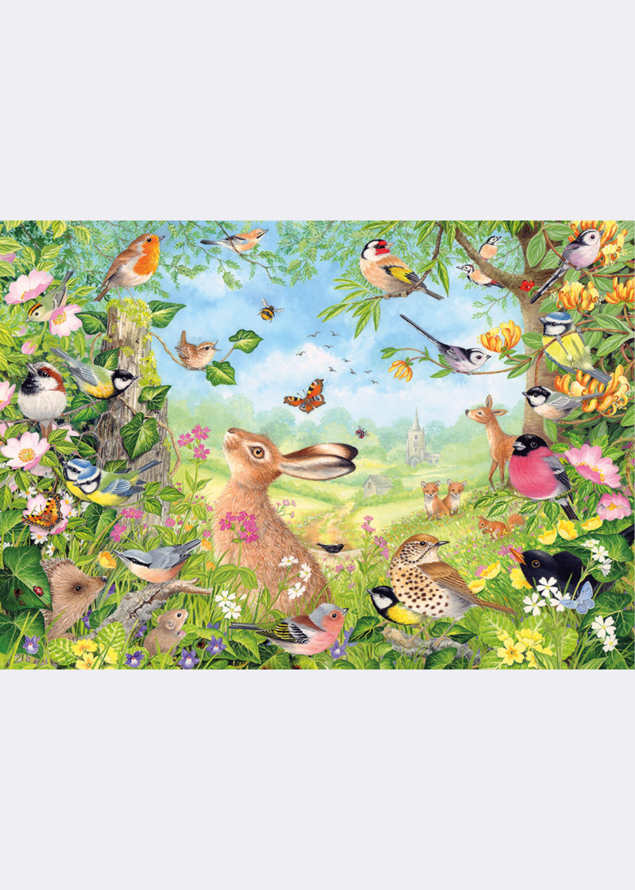 RSPB Wildlife Haven 1000 Piece Jigsaw Puzzle