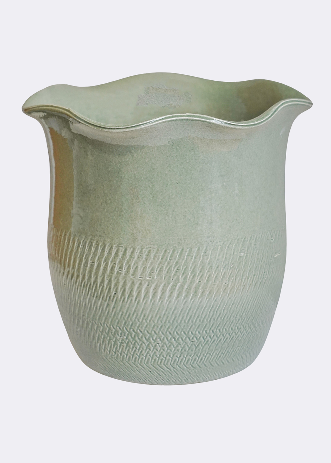 Camellia sage scalloped edge planter 19cm