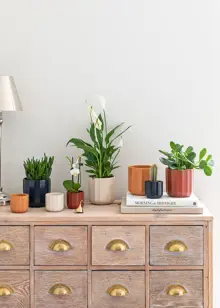 Positano Burnt Orange Geo Planter 11cm