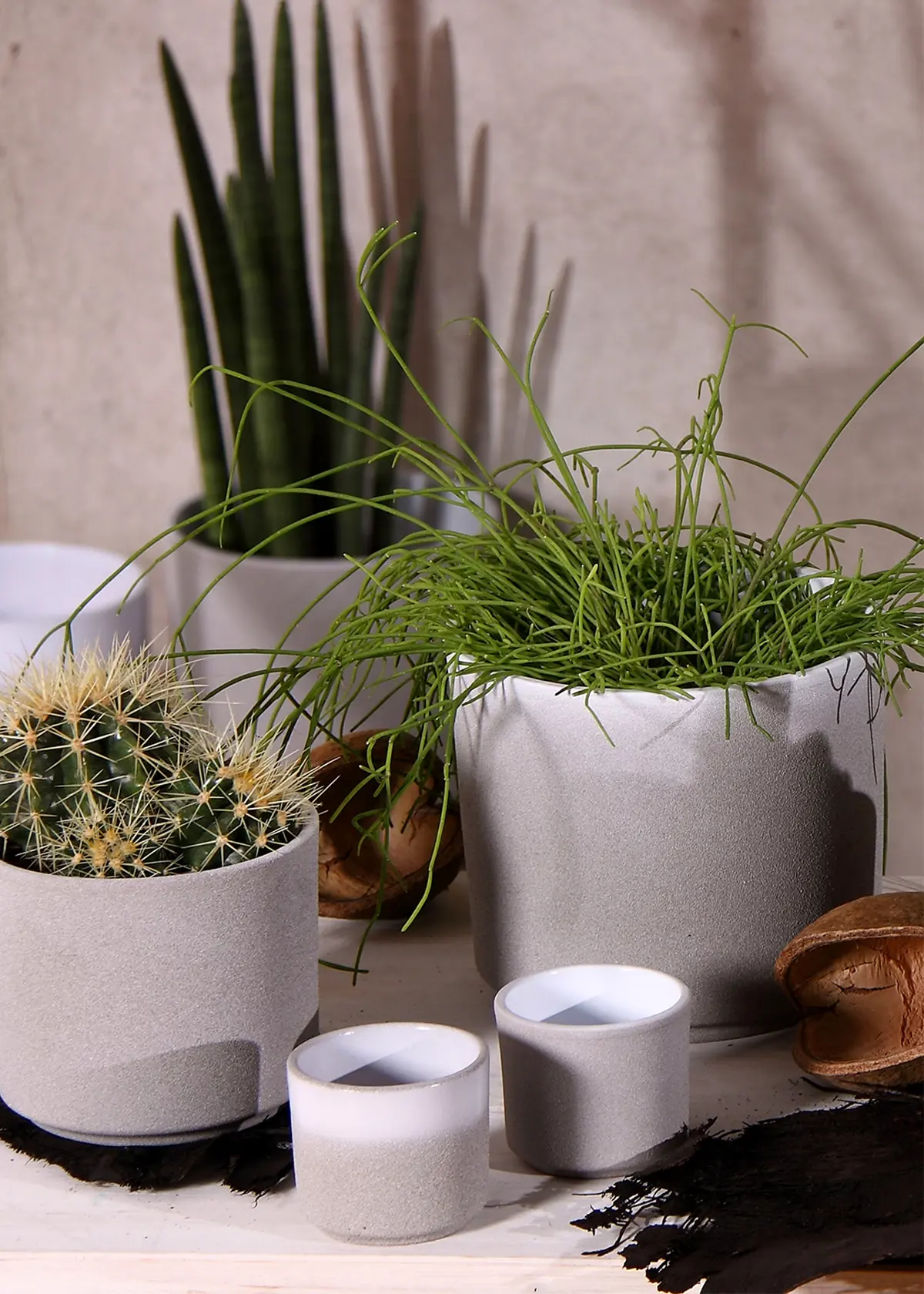 A photo of Leon Cement Planter 14.5cm