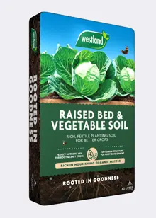 40L Raised Bed & Vegetable Soil