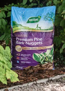 50L Premium Pine Nuggets