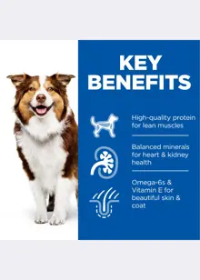 Hill's SP Mature Adult Medium Dry Dog Chicken 2.5kg