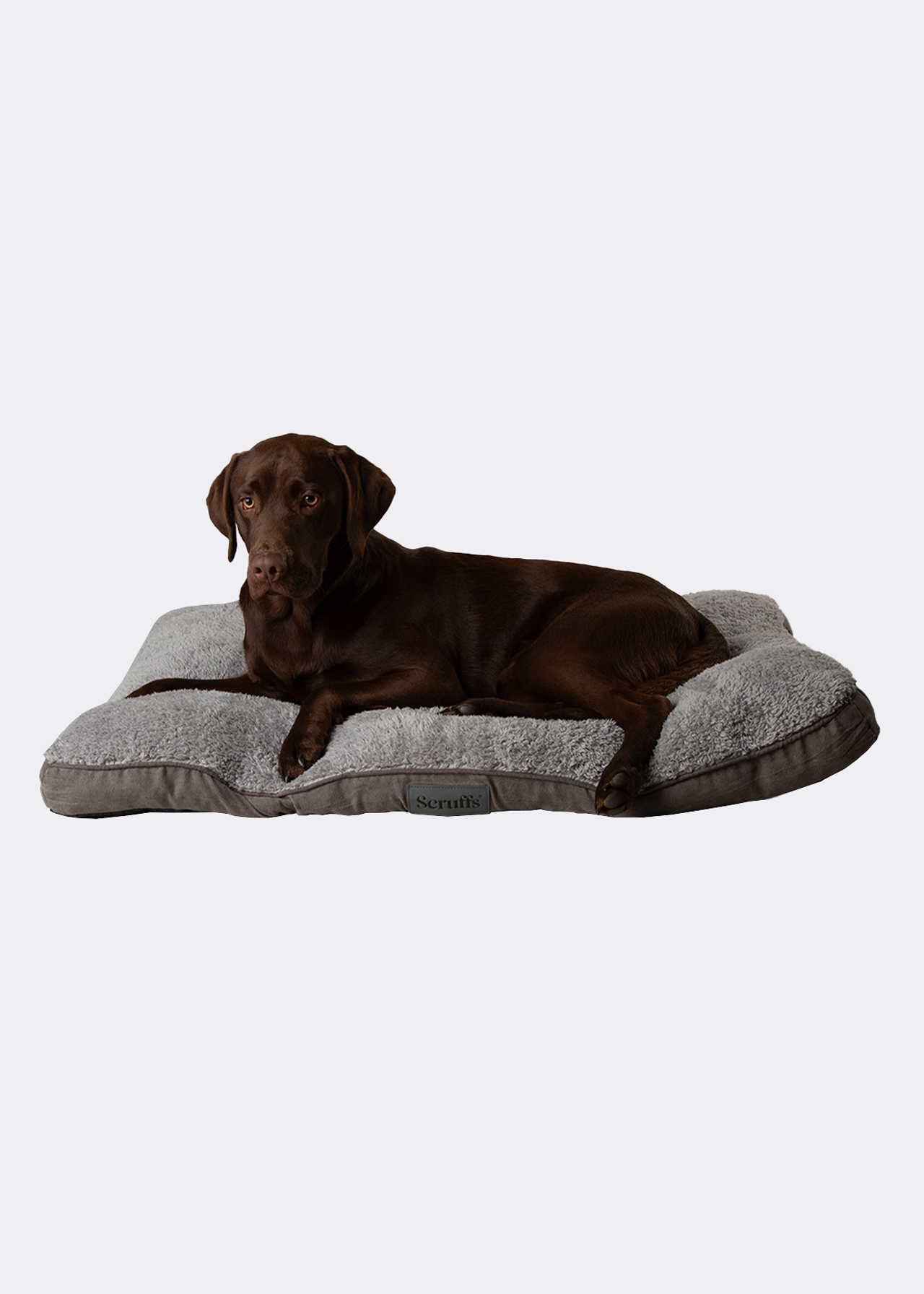 Scruffs Cosy Mattress Dog Bed Large Grey