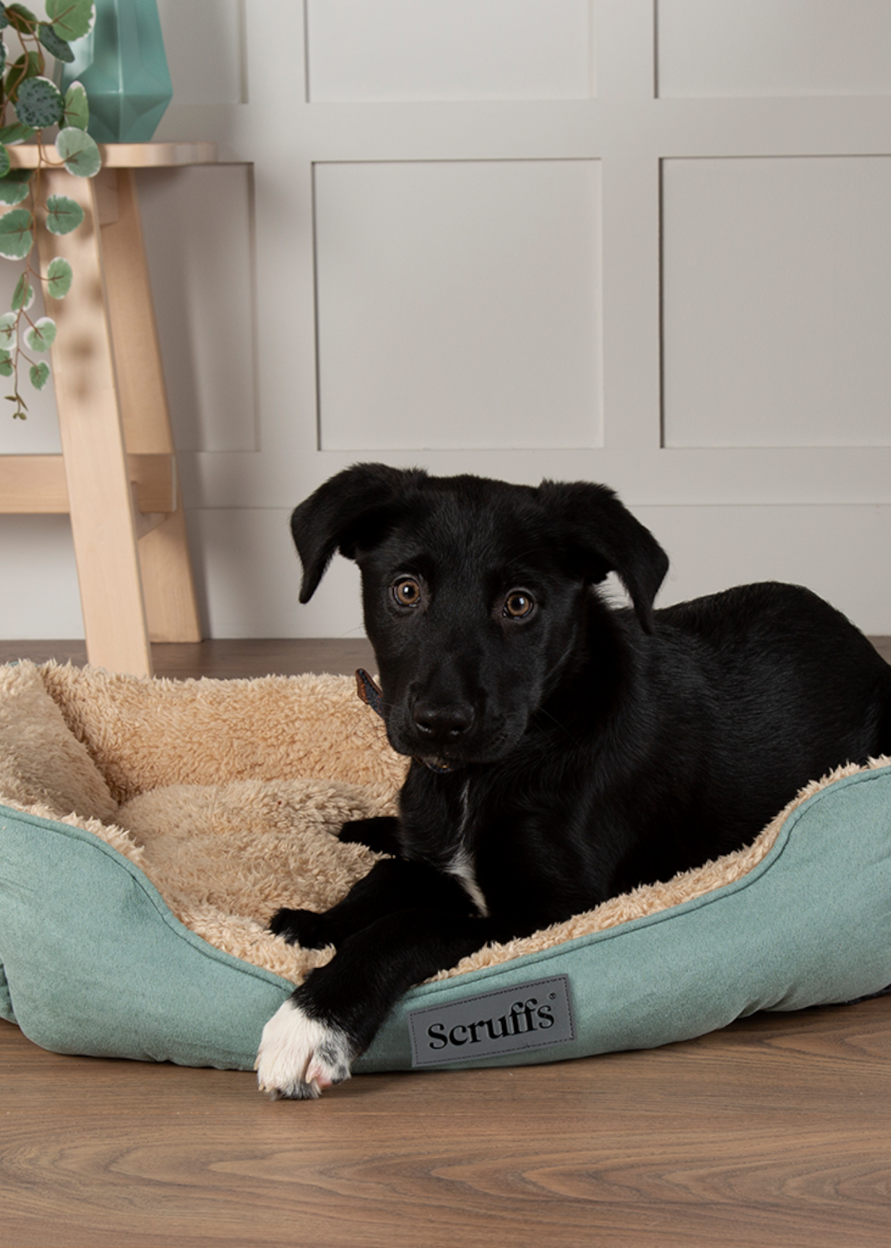 Scruffs Cosy Box Dog Bed Small Sage Green