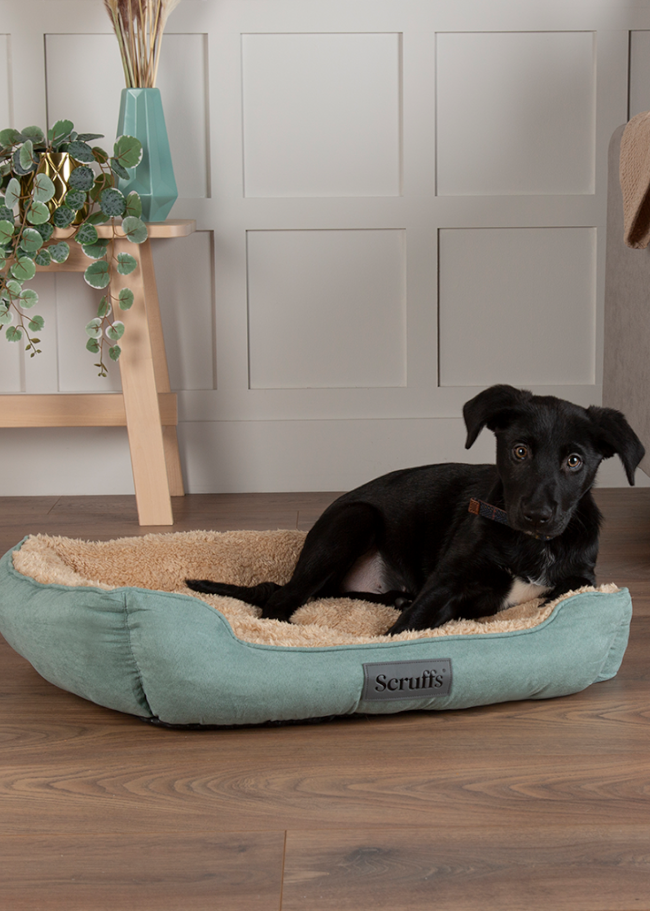 Scruffs Cosy Box Dog Bed Medium Sage Green