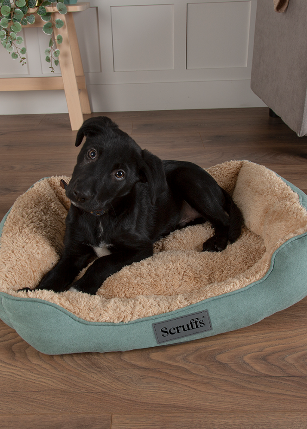 Scruffs Cosy Box Dog Bed Large Sage Green