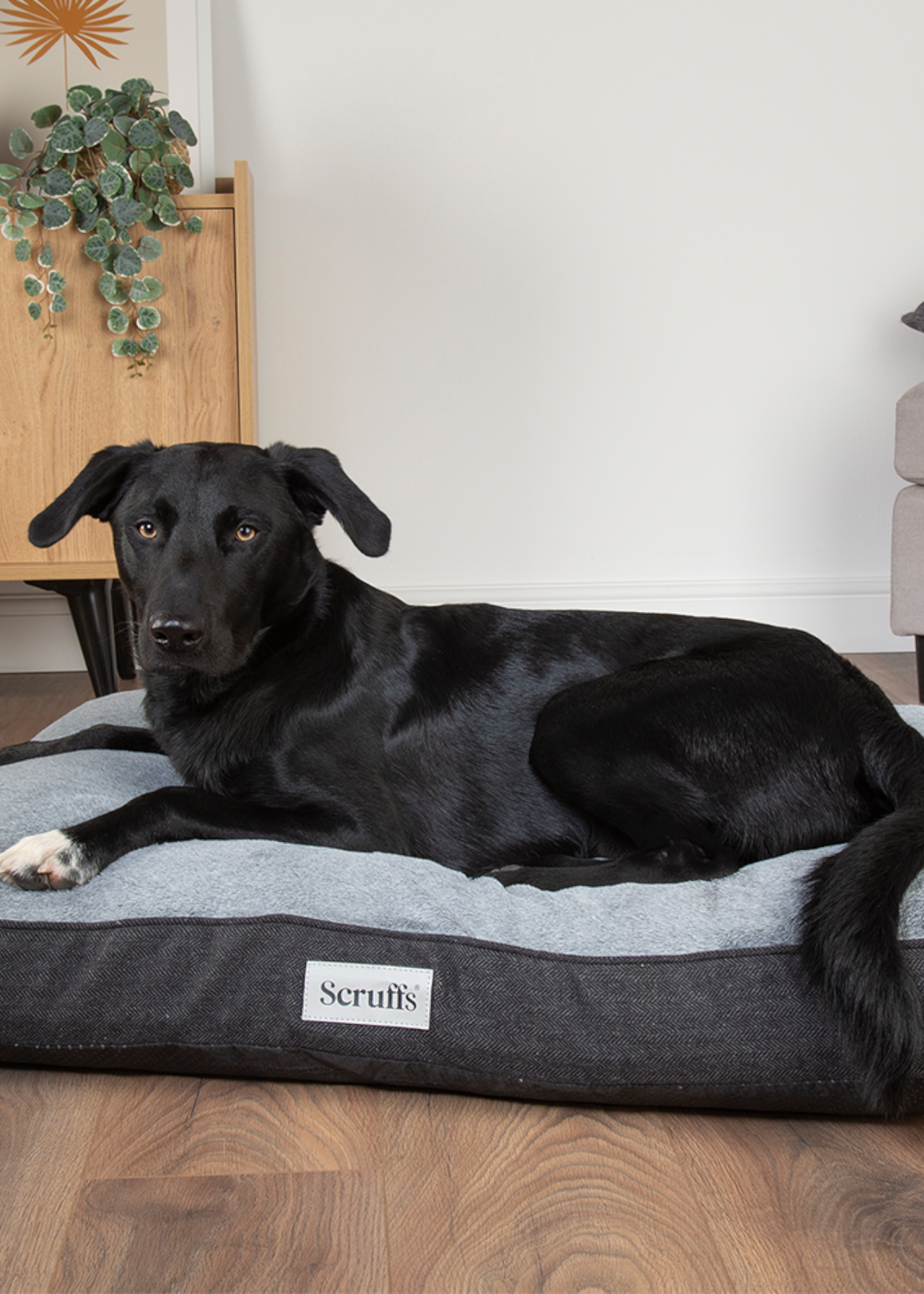 Scruffs Harvard Orthopaedic Dog Bed Large Graphite Grey