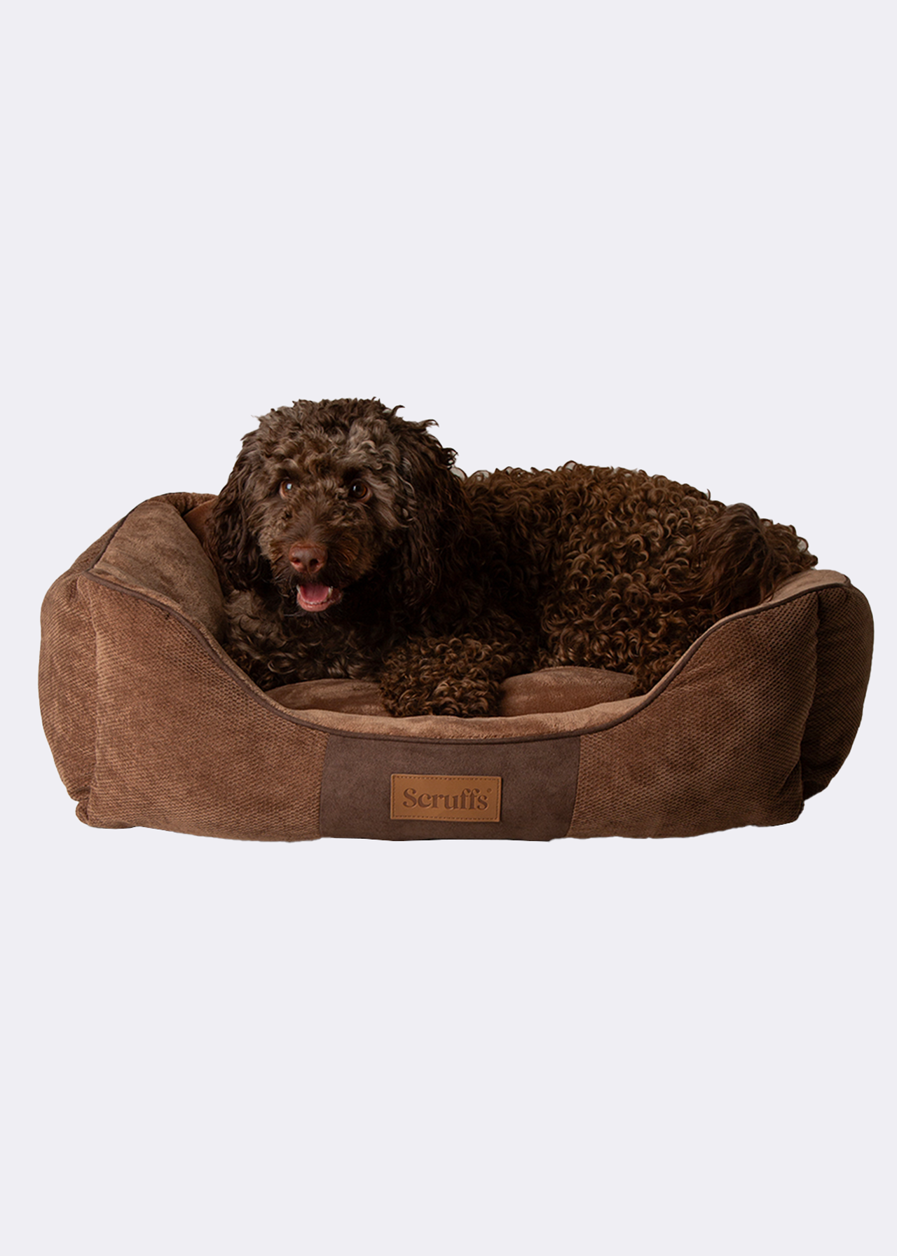Scruffs Chester Box Dog Bed Large Chocolate