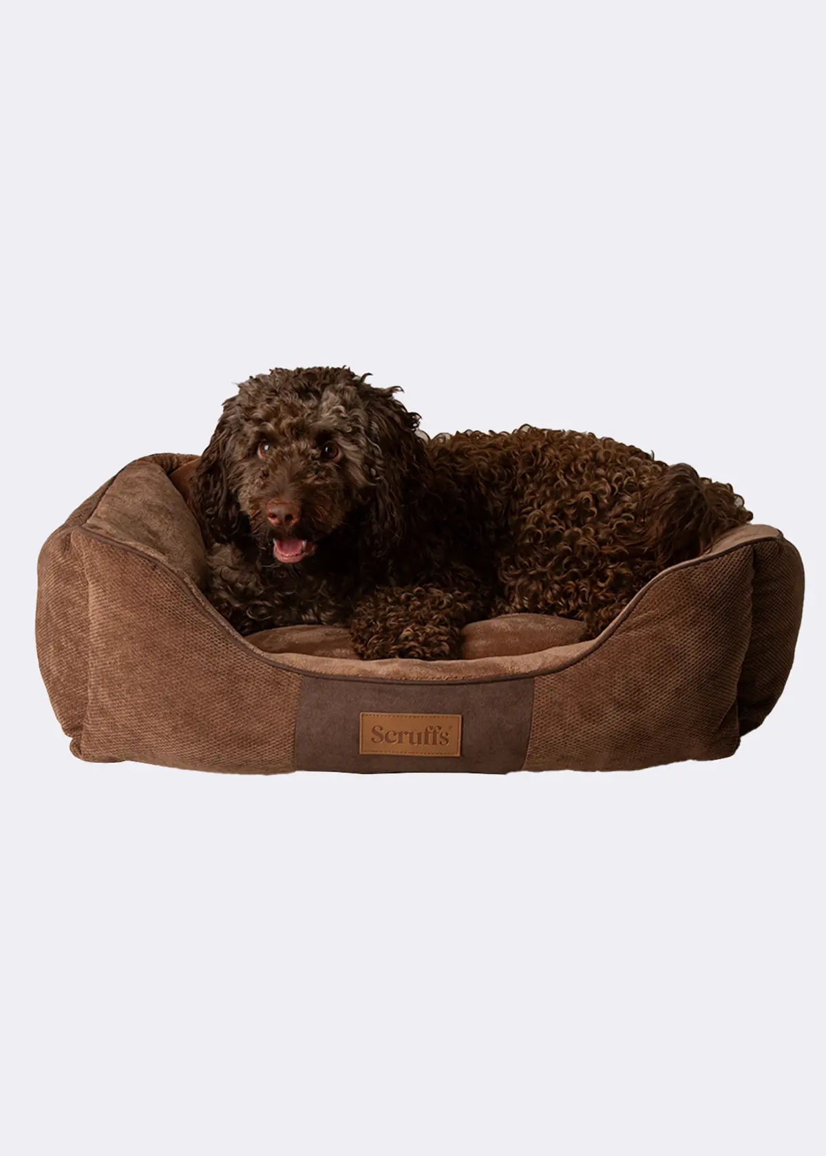 A photo of Scruffs Chester Box Bed (L) Chocolate