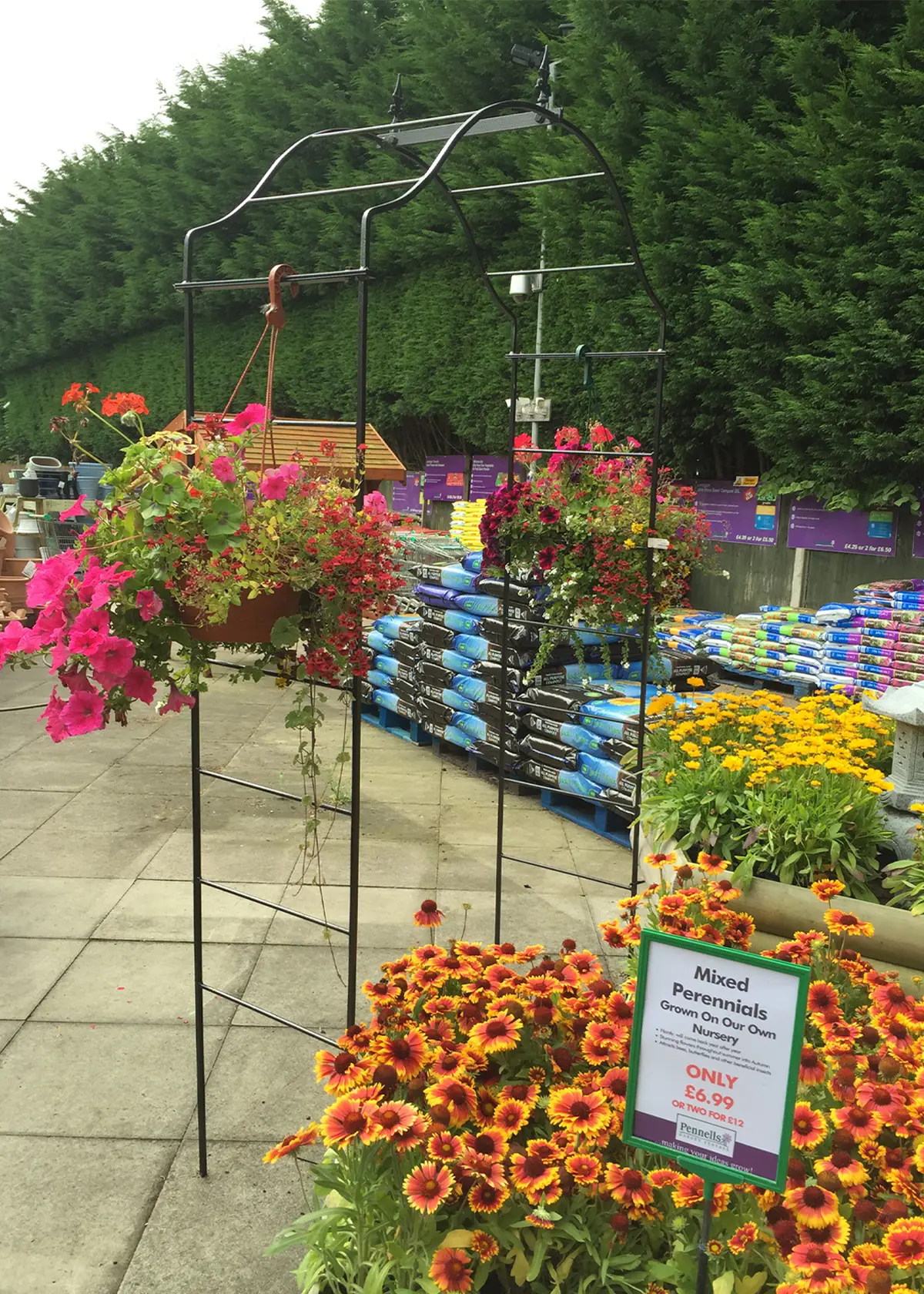 A photo of Arcadia Softstanding Garden Arch