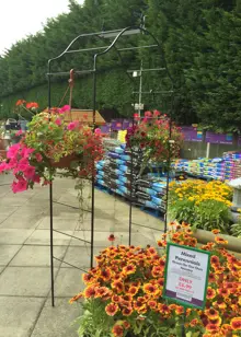 Arcadia Softstanding Garden Arch