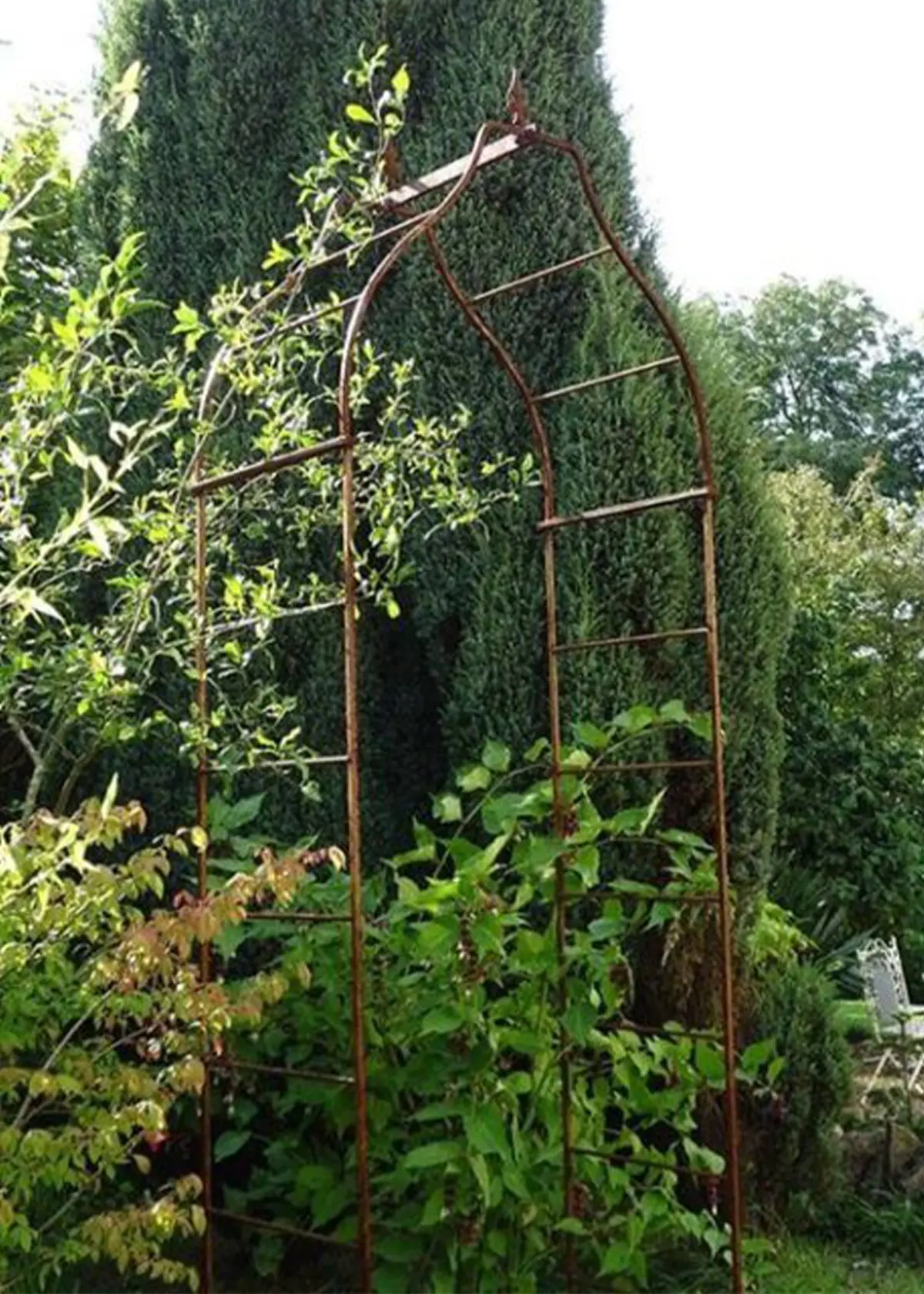 A photo of Arcadia Softstanding Bare Metal Garden Arch