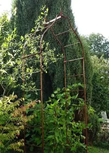 Arcadia Softstanding Bare Metal Garden Arch