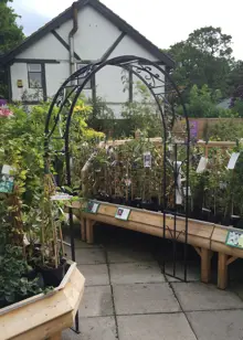 Buckingham Garden Arch with Ground Spikes