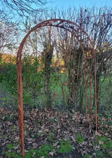 Buckingham Bare Metal Garden Arch with Ground Spikes