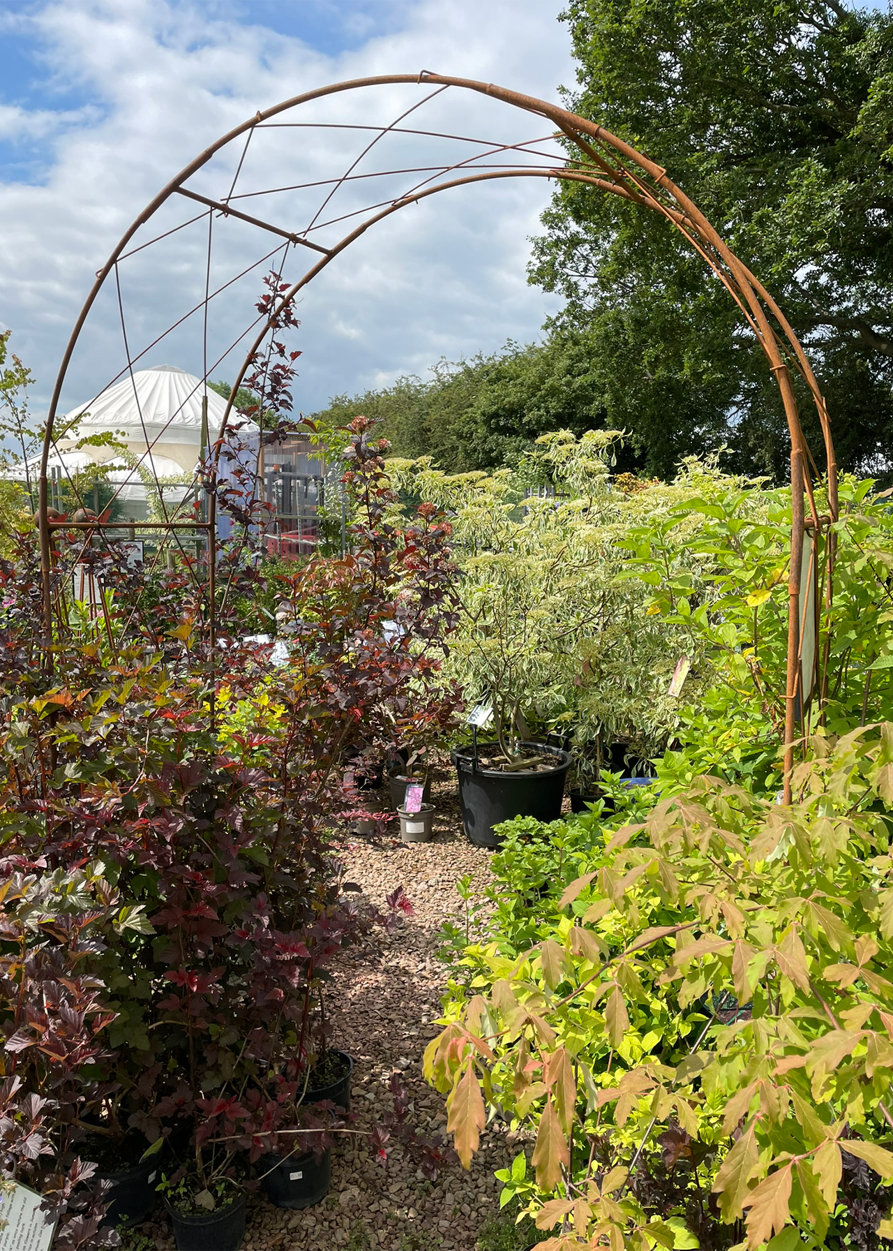 Oregon softstanding bare metal garden arch