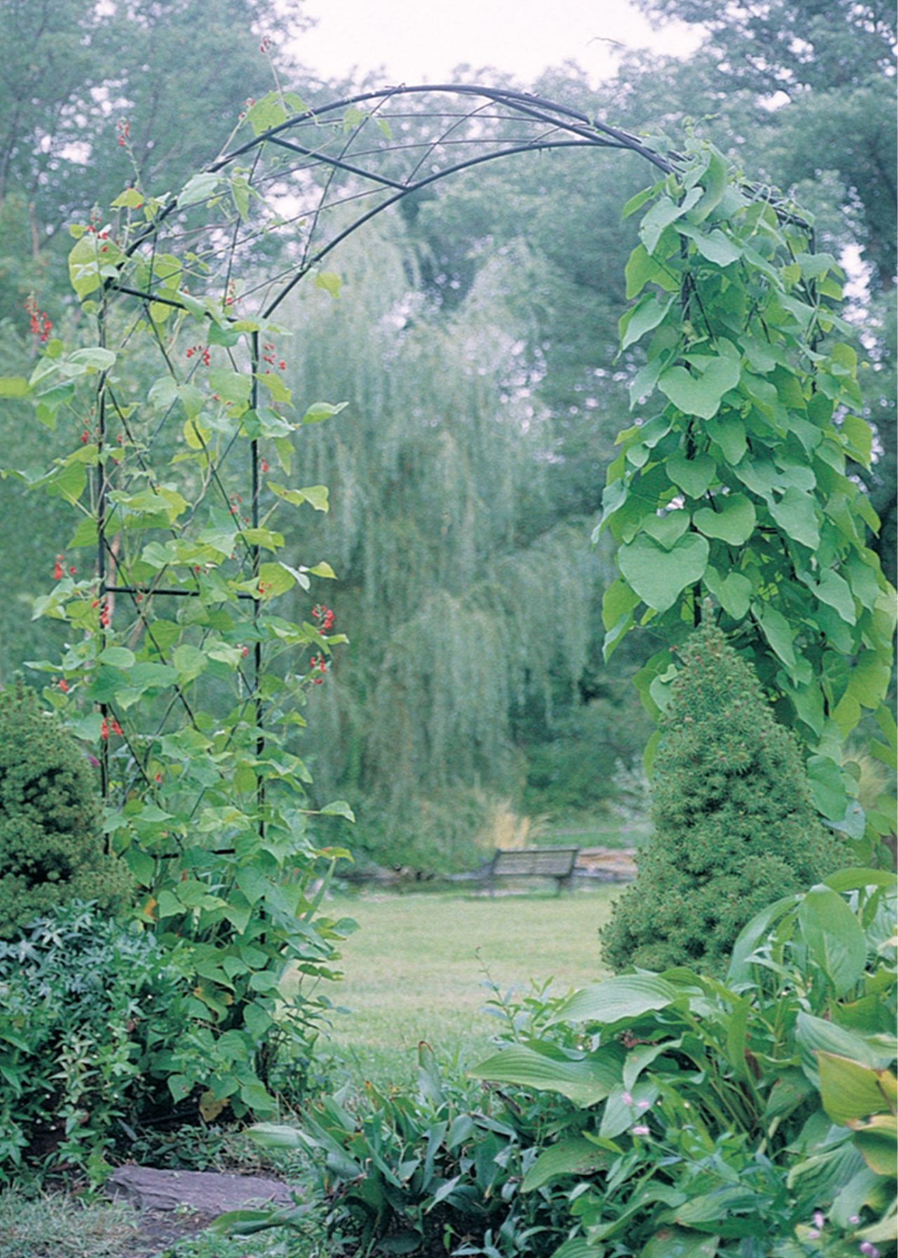 Monet softstanding garden arch