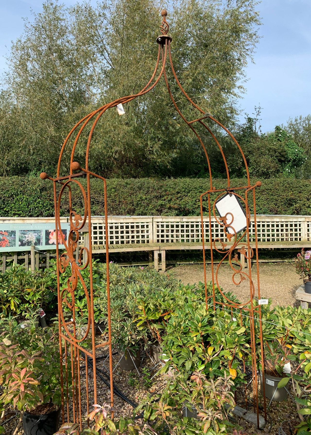Imperial ogee bare metal garden arch with ground spikes