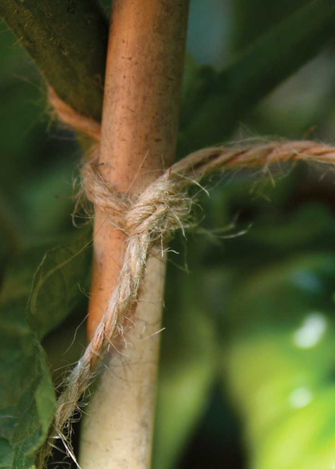 Biodegradable Brown Jute Twine (110m/spool)