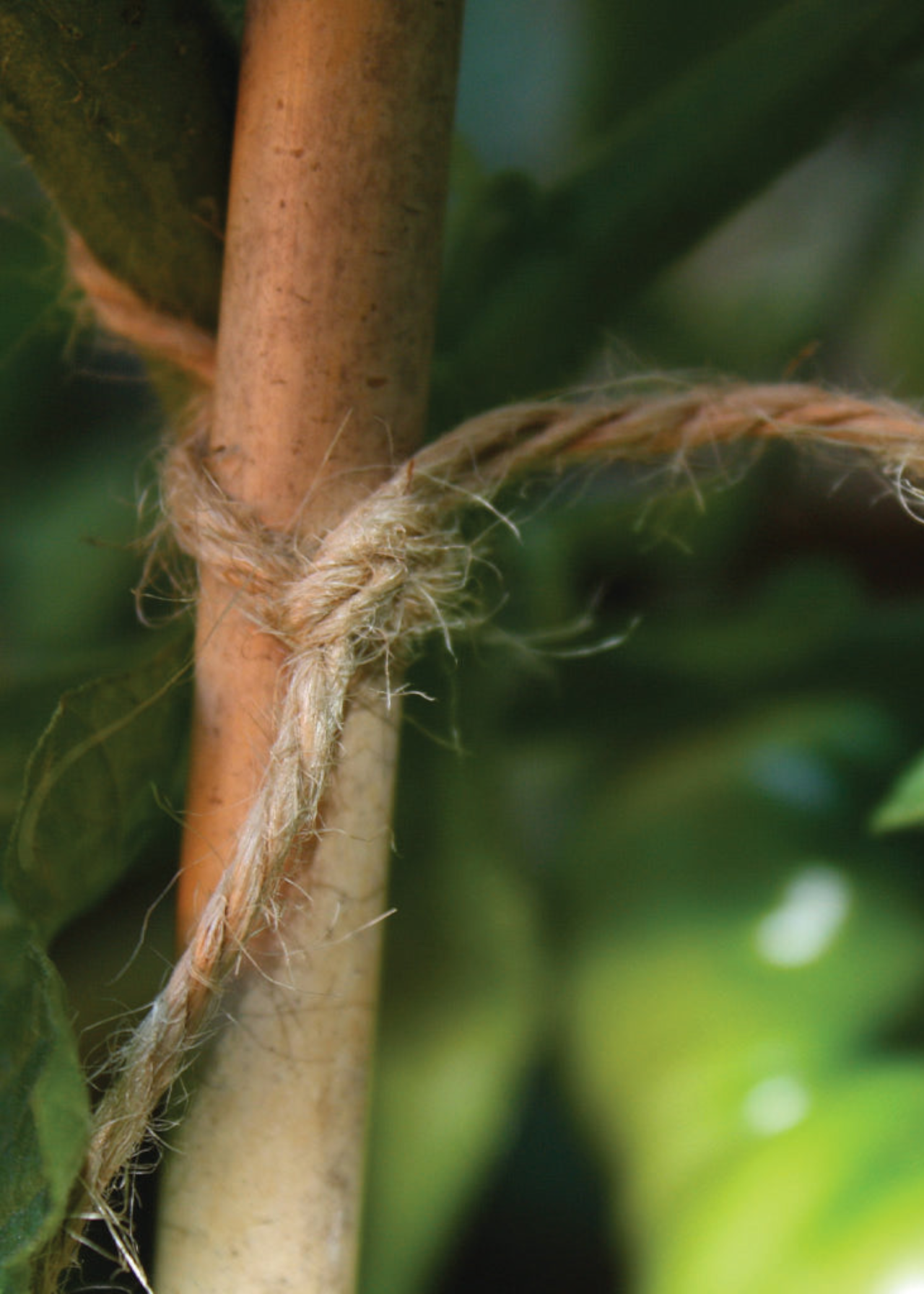 Biodegradable Brown Jute Twine (260m/spool)