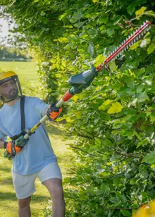 Webb Eco 20V Long Reach Hedge Trimmer with 2ah Battery and C