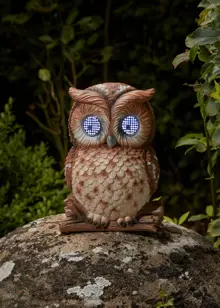 Blinkin' Owl
