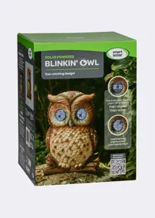 Blinkin' Owl