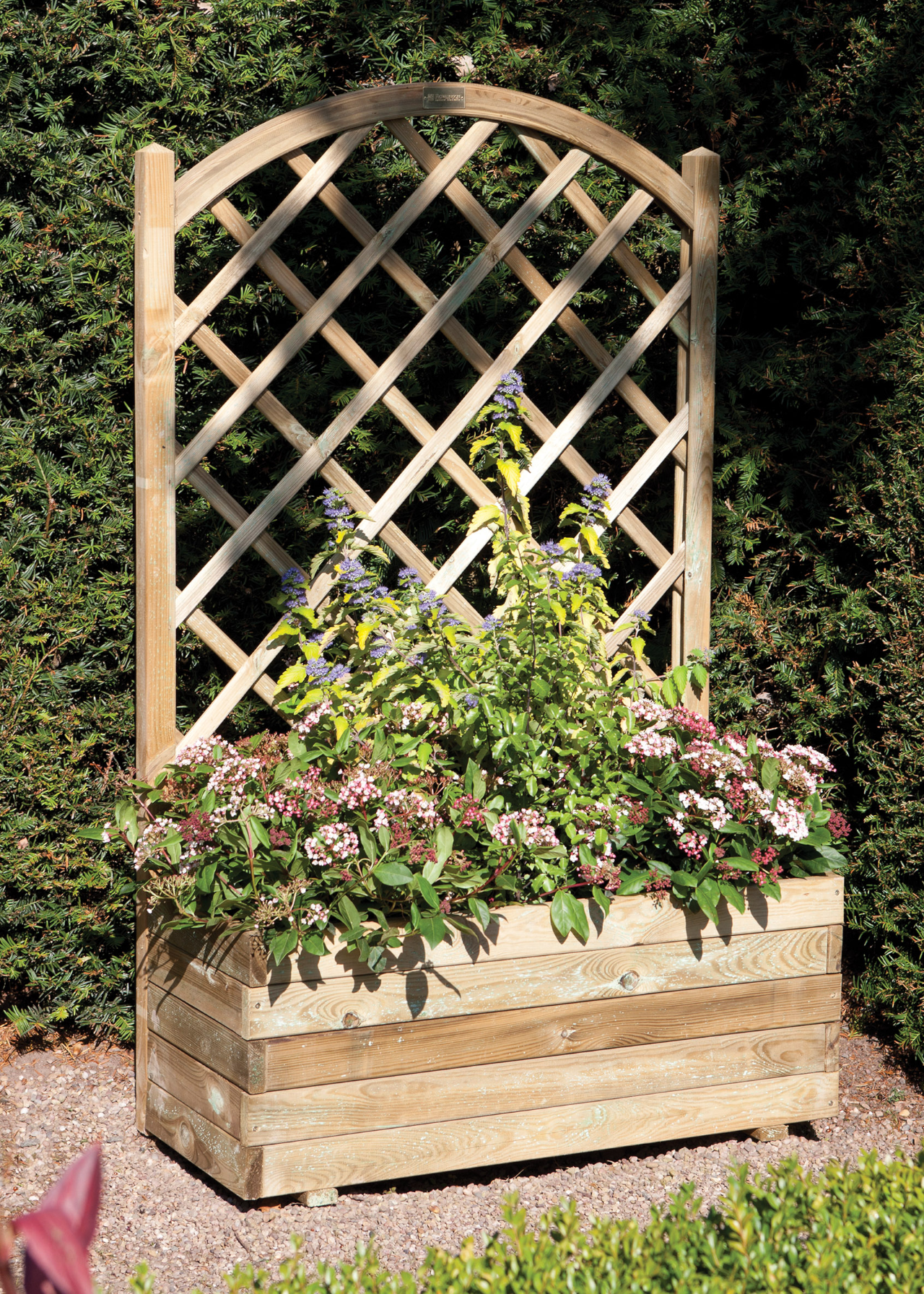 Rectangular Planter & Lattice