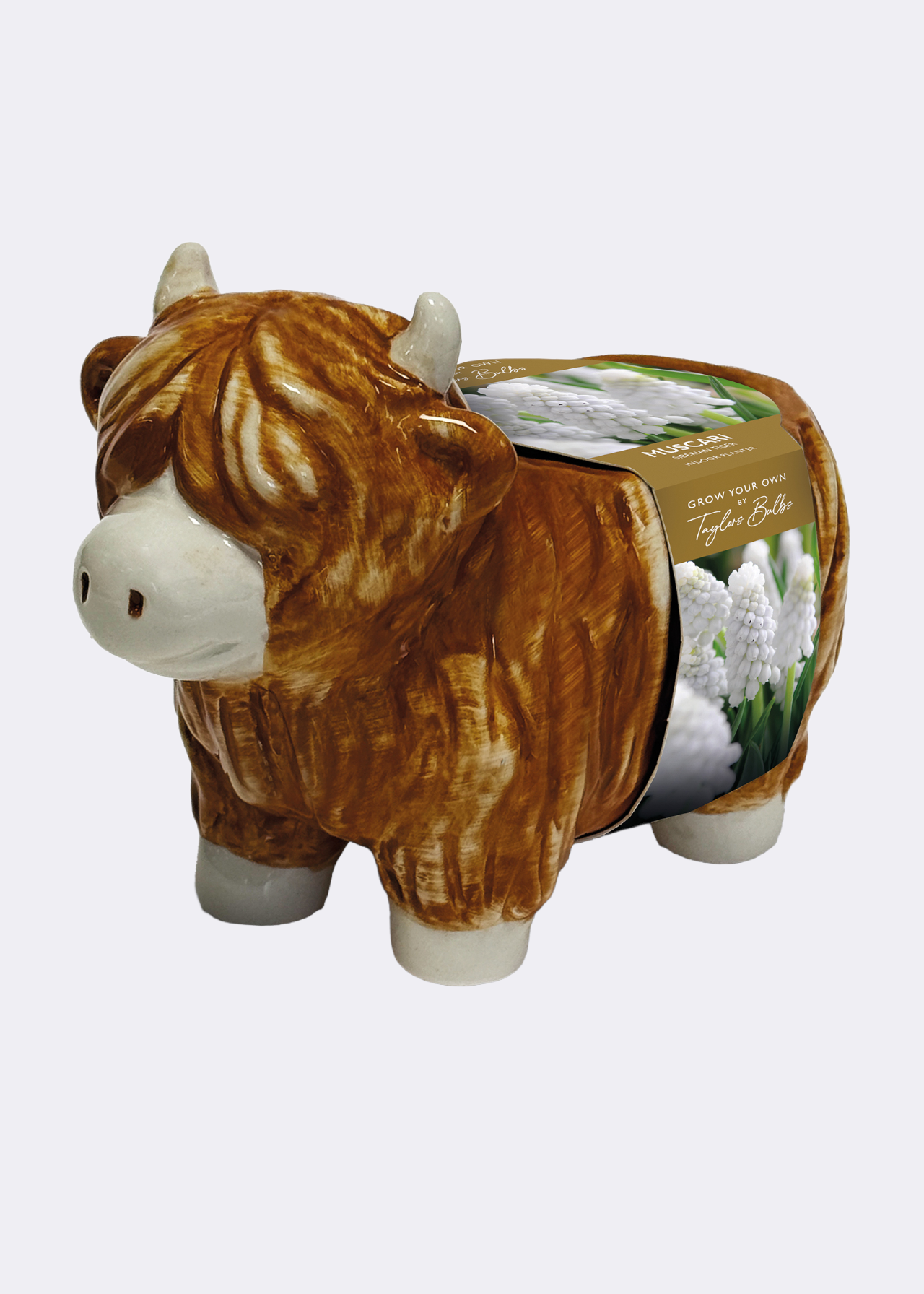 Novelty Highland Cow Planter